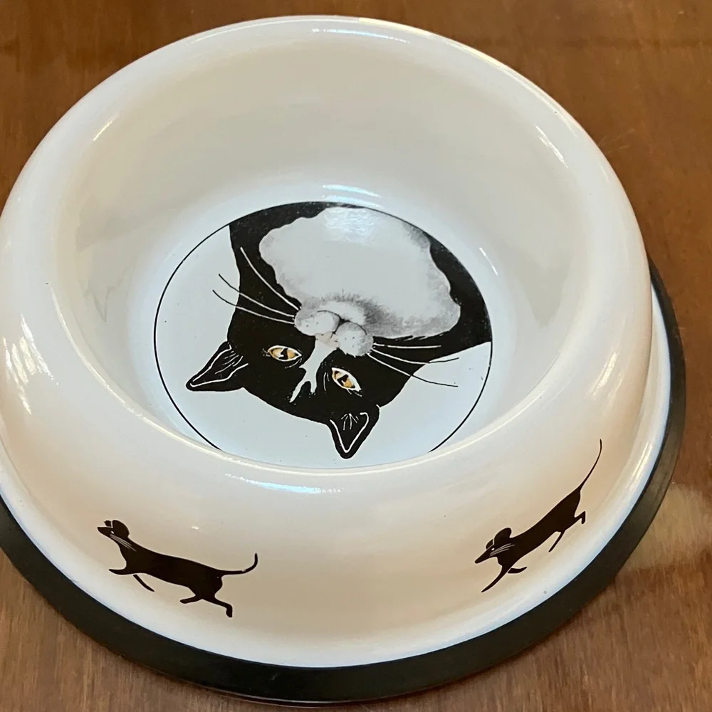 Black and White Cat Bowl
